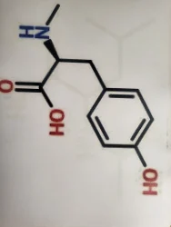 Nandrolone Undecylate Powder (CAS 862-89-5)