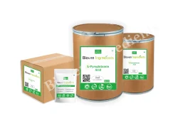 L-Pyroglutamic Acid Powder, Packaging Type: Drum