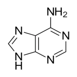 Adenine Chemical