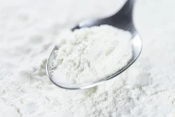 Sodium Caseinate Spray Dried