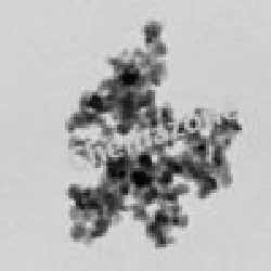 Copper oxide nanoparticles