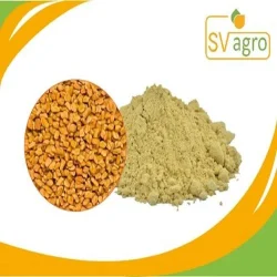 Common Fenugreek Extract Powder, Packaging Size: 25 kg, Packaging: PP Polybags,HDPE Drums