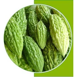 Bitter Melon Extract