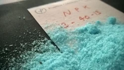 NPK Fertilizer Powder