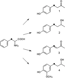 Cyanoacetophenone Chemical Compound