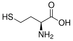 L-Homocysteine (CAS Number: 6027-13-0)