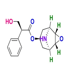 Hyoscine EP Impurity A, 25mg