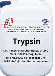 98% Min Solid Trypsin, CONTRACT MANUFACTURER, Drum