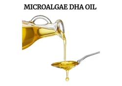 Microalgae Dha Oil, Packaging Type: Bottle, Packaging Size: 25 Kg