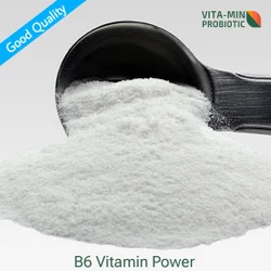 B6 Vitamin Powder, Grade Standard: IP, 99%