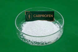 Carprofen