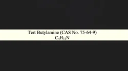 50 Kg Tert Butylamine, Purity: 99.99%