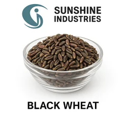 Black Wheat NABI MG 2583