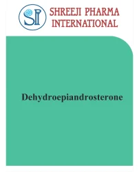 Dehydroepiandrosterone Api Powder, USP