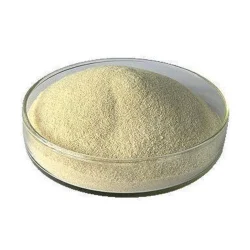Sodium Alginate