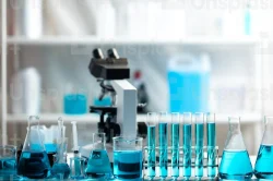 4,1,2,4-Triazol-1-Yl-Phenol