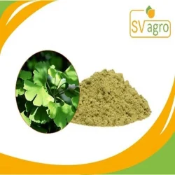 SV Agro Gingko Biloba Extract 24/6/1, Packaging Size: 25 Kg, Packaging Type: Pp Polybags,Hdpe Drums