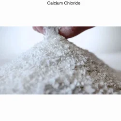 10043-52-4 Calcium Chloride