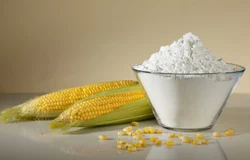 Modified Starch Powder