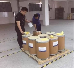 Fluorescein Disodium CAS 518-47-8