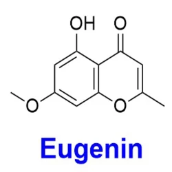 Eugenin Cas No. 480-34-2