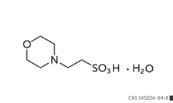 Morpholinoethanesulfonic acid MonoHydrate, For Laboratory